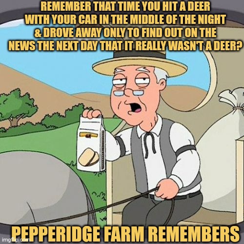 Pepperidge Farm NEVER Forgets | REMEMBER THAT TIME YOU HIT A DEER WITH YOUR CAR IN THE MIDDLE OF THE NIGHT & DROVE AWAY ONLY TO FIND OUT ON THE NEWS THE NEXT DAY THAT IT REALLY WASN'T A DEER? PEPPERIDGE FARM REMEMBERS | image tagged in memes,pepperidge farm remembers,commercials,picturepunches,earn with memes | made w/ Imgflip meme maker