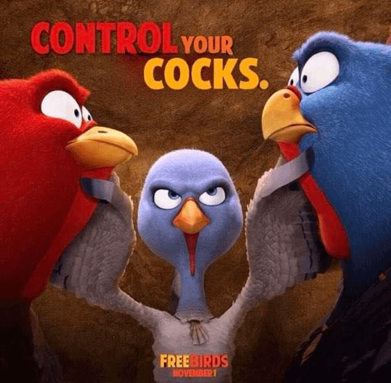 Free Birds Control Your Cocks Blank Meme Template