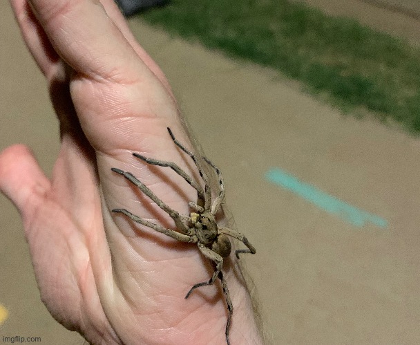 How cute. | made w/ Imgflip meme maker