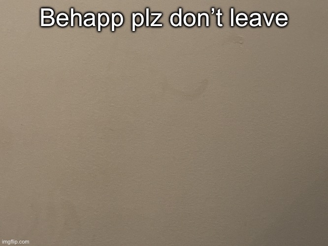 Tako Wall Reveal | Behapp plz don’t leave | image tagged in tako wall reveal | made w/ Imgflip meme maker