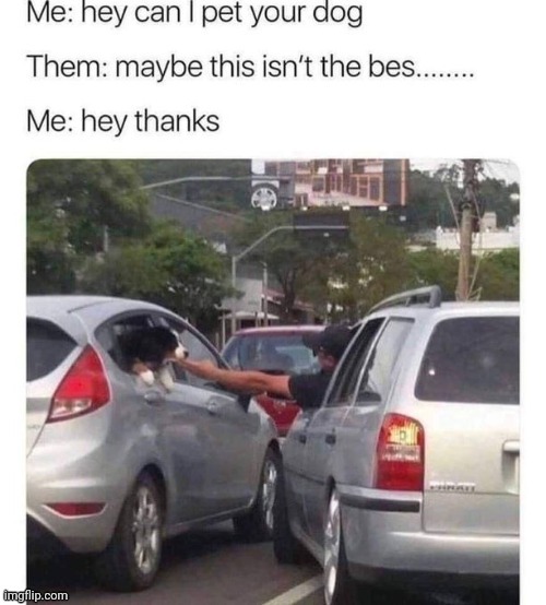 Hey thanks! | image tagged in memes,funny,animals,dogs,petting,cars reach | made w/ Imgflip meme maker