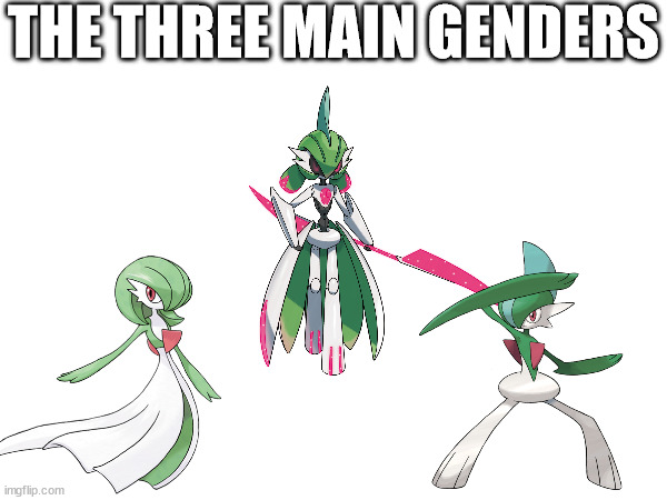 THE THREE MAIN GENDERS | made w/ Imgflip meme maker