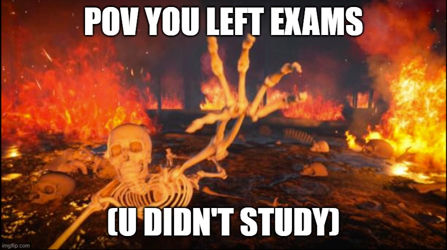 your cooked bro | POV YOU LEFT EXAMS; (U DIDN'T STUDY) | image tagged in flaming agony | made w/ Imgflip meme maker