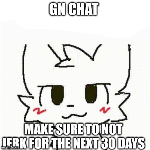 boykisser | GN CHAT; MAKE SURE TO NOT JERK FOR THE NEXT 30 DAYS | image tagged in boykisser | made w/ Imgflip meme maker