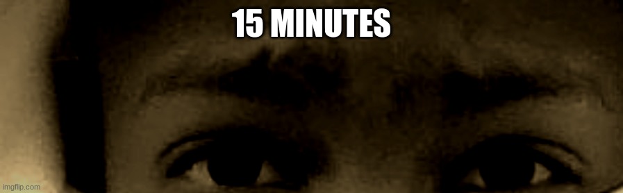 unnerved stare | 15 MINUTES | image tagged in unnerved stare | made w/ Imgflip meme maker