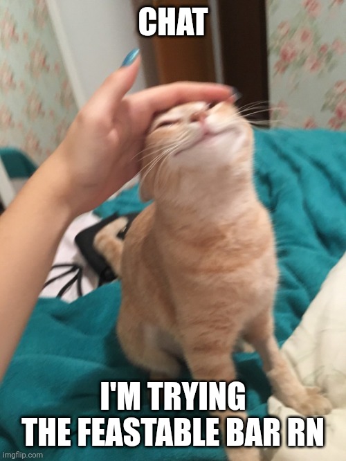 Wish me luck | CHAT; I'M TRYING THE FEASTABLE BAR RN | image tagged in cat pat | made w/ Imgflip meme maker