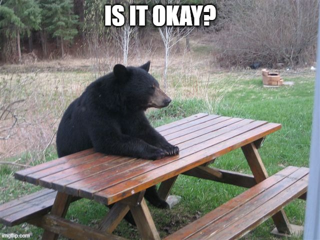 Patient Bear | IS IT OKAY? | image tagged in patient bear | made w/ Imgflip meme maker