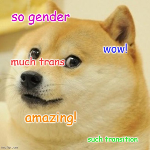 Doge Meme | so gender much trans such transition wow! amazing! | image tagged in memes,doge | made w/ Imgflip meme maker