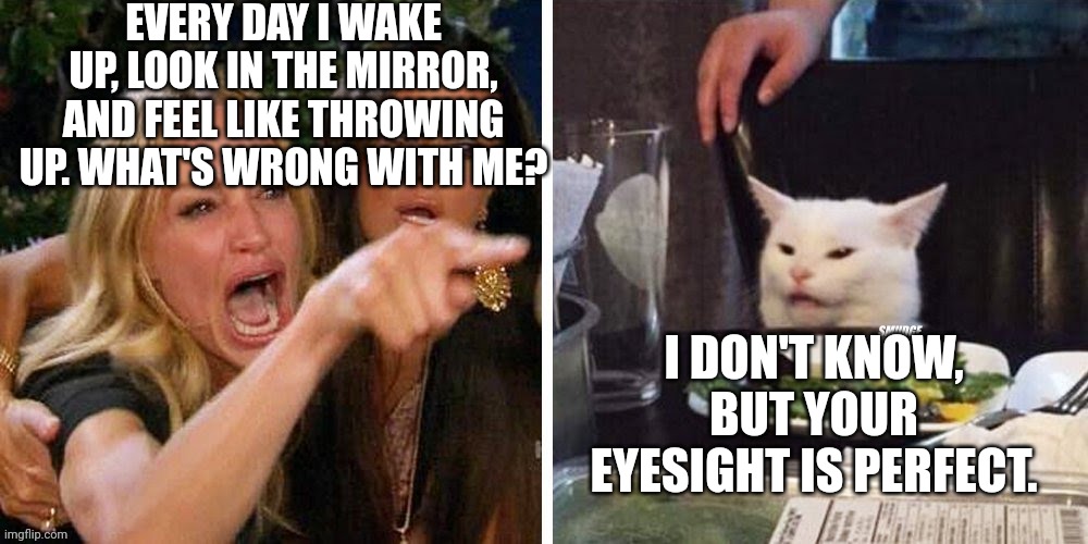 Smudge that darn cat with Karen | EVERY DAY I WAKE UP, LOOK IN THE MIRROR, AND FEEL LIKE THROWING UP. WHAT'S WRONG WITH ME? I DON'T KNOW, BUT YOUR EYESIGHT IS PERFECT. | image tagged in smudge that darn cat with karen | made w/ Imgflip meme maker