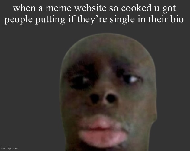 K K | when a meme website so cooked u got people putting if they’re single in their bio | image tagged in k k | made w/ Imgflip meme maker