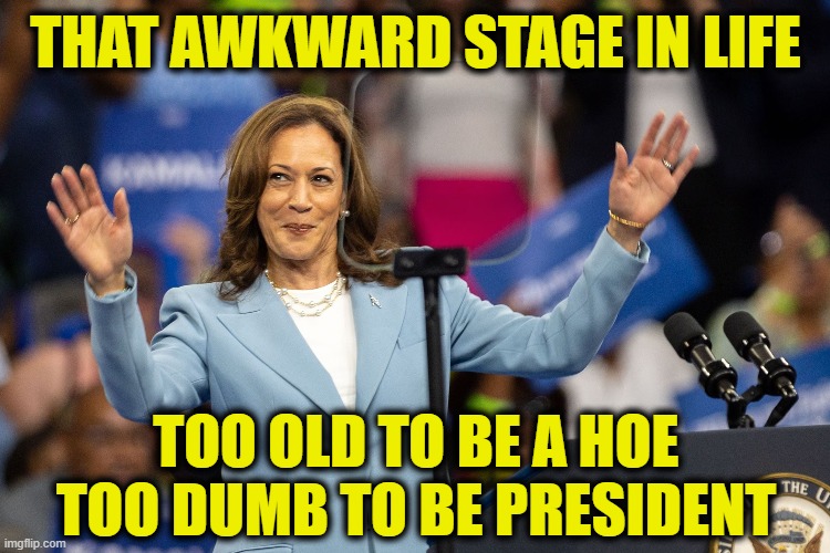 Kamala's conundrum | THAT AWKWARD STAGE IN LIFE; TOO OLD TO BE A HOE
TOO DUMB TO BE PRESIDENT | image tagged in kamala harris | made w/ Imgflip meme maker