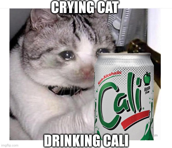 Crying Cat drinking Cali | CRYING CAT; DRINKING CALI | image tagged in crying cat drinking beer,meme,cali,edit,philippines,drink | made w/ Imgflip meme maker