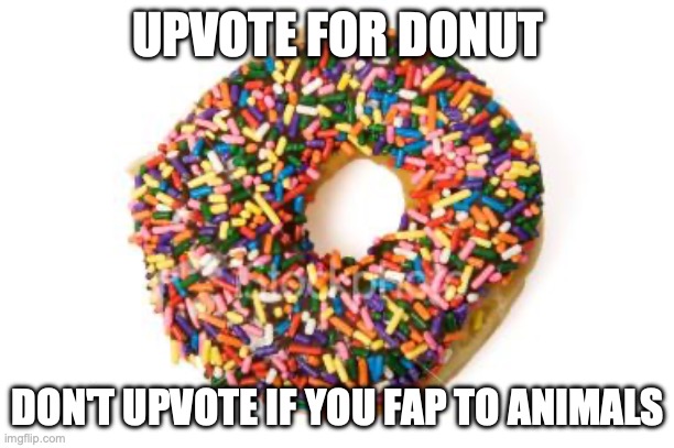 donut | UPVOTE FOR DONUT DON'T UPVOTE IF YOU FAP TO ANIMALS | image tagged in donut | made w/ Imgflip meme maker