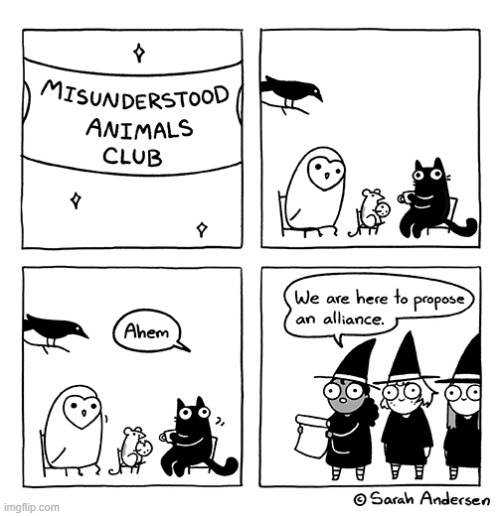 image tagged in animals,misunderstood,witches,alliance | made w/ Imgflip meme maker