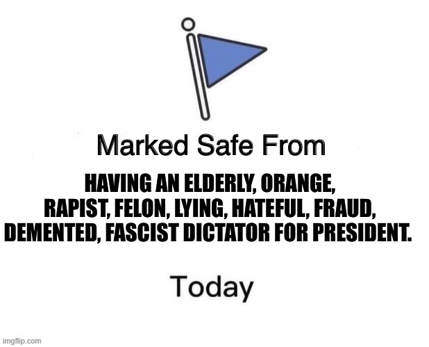 Marked Safe From Big | HAVING AN ELDERLY, ORANGE, RAPIST, FELON, LYING, HATEFUL, FRAUD, DEMENTED, FASCIST DICTATOR FOR PRESIDENT. | image tagged in marked safe from big | made w/ Imgflip meme maker