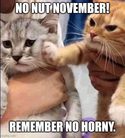 Challenge denied. | NO NUT NOVEMBER! REMEMBER NO HORNY. | image tagged in memes,funny,true,nnn,remember no horny,owu | made w/ Imgflip meme maker