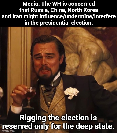 Leonardo Di Caprio | Media: The WH is concerned that Russia, China, North Korea and Iran might influence/undermine/interfere in the presidential election. Rigging the election is reserved only for the deep state. | image tagged in leonardo di caprio | made w/ Imgflip meme maker