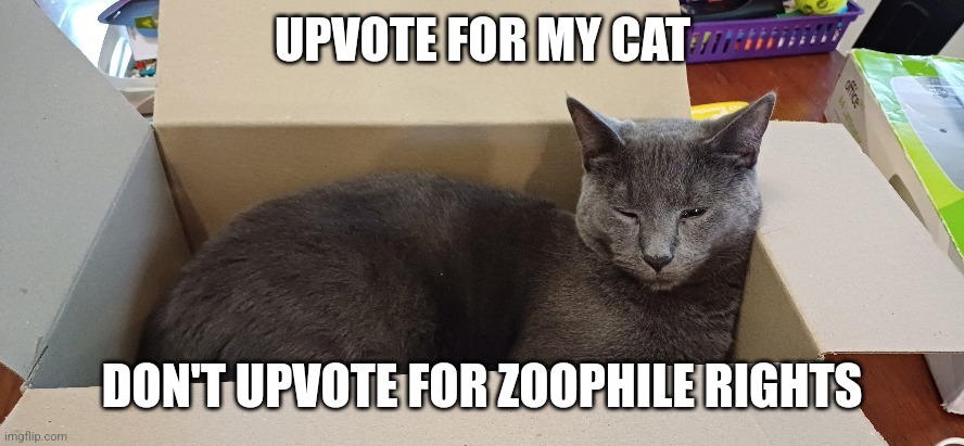 :3 | DON'T UPVOTE FOR ZOOPHILE RIGHTS | image tagged in please upvote so my alt can use msmg | made w/ Imgflip meme maker