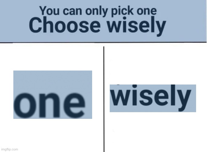 Choose wisely | image tagged in choose wisely | made w/ Imgflip meme maker