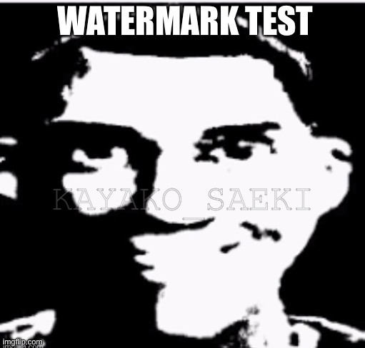 Based sigma male | WATERMARK TEST; KAYAKO_SAEKI | image tagged in watermark,this man _____ him,this man,bruh,test | made w/ Imgflip meme maker