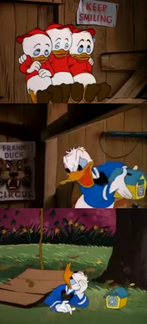 Donald Duck Blank Meme Template