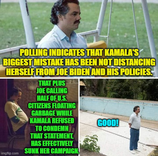 Yeah . . . apparently her campaign is now dead in the water. | POLLING INDICATES THAT KAMALA'S BIGGEST MISTAKE HAS BEEN NOT DISTANCING HERSELF FROM JOE BIDEN AND HIS POLICIES. THAT PLUS JOE CALLING HALF OF U.S. CITIZENS FLOATING GARBAGE WHILE KAMALA REFUSED TO CONDEMN THAT STATEMENT, HAS EFFECTIVELY SUNK HER CAMPAIGN. GOOD! | image tagged in yep | made w/ Imgflip meme maker