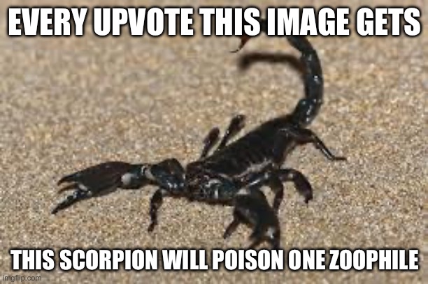 Scorpions | EVERY UPVOTE THIS IMAGE GETS; THIS SCORPION WILL POISON ONE ZOOPHILE | image tagged in scorpions | made w/ Imgflip meme maker