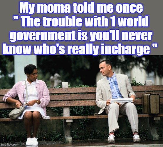 You never will see the real people incharge, just thier frontmen. | My moma told me once " The trouble with 1 world government is you'll never know who's really incharge " | image tagged in forest gump | made w/ Imgflip meme maker