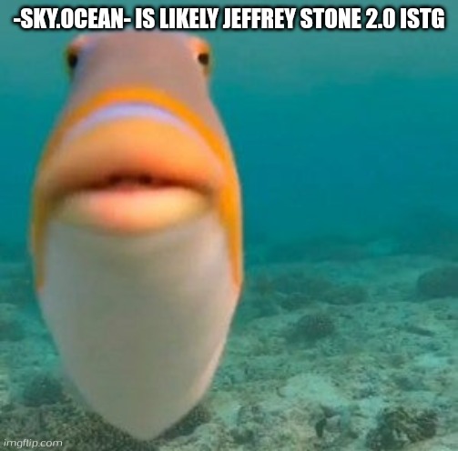 fish | -SKY.OCEAN- IS LIKELY JEFFREY STONE 2.0 ISTG | image tagged in fish | made w/ Imgflip meme maker