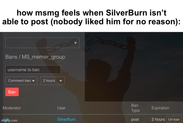 spam is really bad bro!!!!!!!!!! (thanks for trying to revive msmg tho) | how msmg feels when SilverBurn isn’t able to post (nobody liked him for no reason): | made w/ Imgflip meme maker