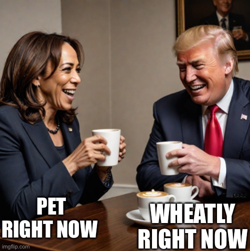 I support kamala by the way so my side is clear | PET RIGHT NOW; WHEATLY RIGHT NOW | image tagged in kamala and trump coffee | made w/ Imgflip meme maker