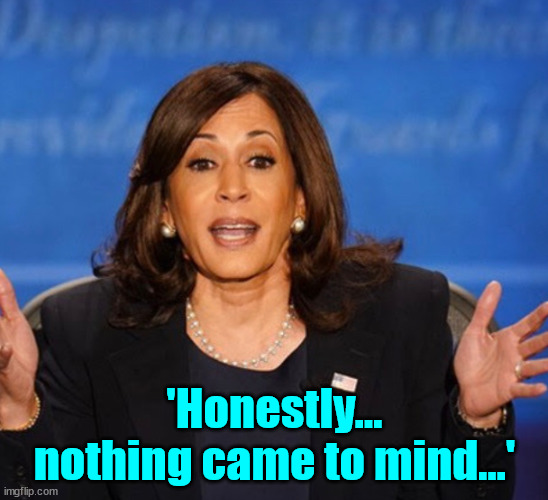 Kamala Harris | 'Honestly... nothing came to mind...' | image tagged in kamala harris | made w/ Imgflip meme maker