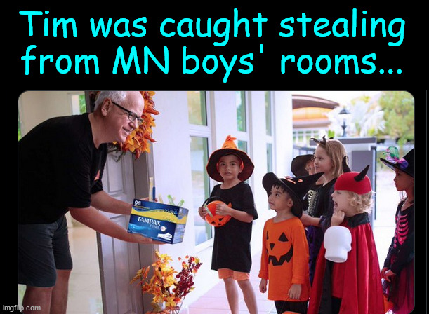 Just a preview of the nightmare awaiting America if dems are allowed to steal another election | Tim was caught stealing from MN boys' rooms... | image tagged in vote like your future depends on it,because it does,say no to 4 more years of failed policies | made w/ Imgflip meme maker