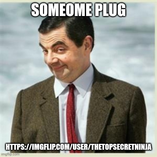 Iceu #1 fan | SOMEOME PLUG; HTTPS://IMGFLIP.COM/USER/THETOPSECRETNINJA | image tagged in mr bean smirk,memes,plug | made w/ Imgflip meme maker