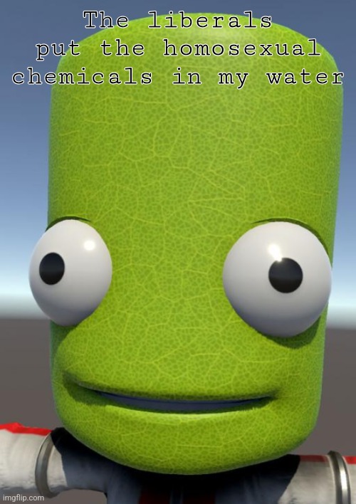 Photosynthesis | The liberals put the homosexual chemicals in my water | image tagged in photosynthesis | made w/ Imgflip meme maker