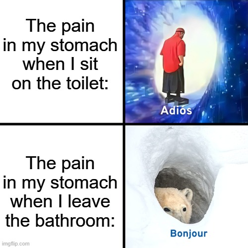 Weird unfair paradox | The pain in my stomach when I sit on the toilet:; The pain in my stomach when I leave the bathroom: | image tagged in adios bonjour,memes,funny,relatable,bathroom | made w/ Imgflip meme maker