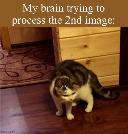 Loading Cat HD | My brain trying to process the 2nd image: | image tagged in loading cat hd | made w/ Imgflip meme maker