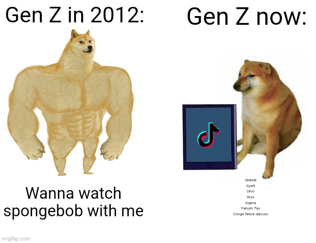 Gen Z be like: | Gen Z in 2012:; Gen Z now:; Skibidi
Gyatt
Ohio
Rizz
Sigma
Fanum Tax
Cringe tiktok dances; Wanna watch spongebob with me | image tagged in memes,buff doge vs cheems,gen z | made w/ Imgflip meme maker