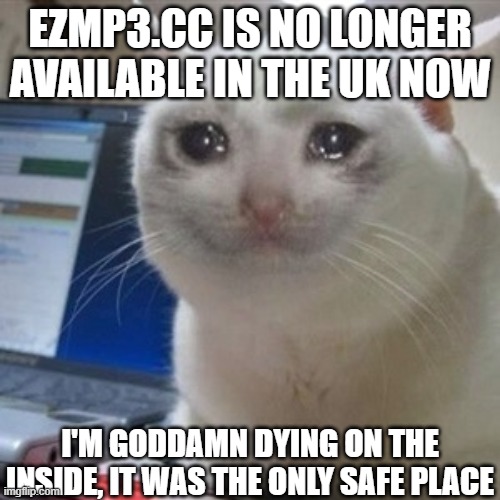 no more ezmp3.cc for me then... | EZMP3.CC IS NO LONGER AVAILABLE IN THE UK NOW; I'M GODDAMN DYING ON THE INSIDE, IT WAS THE ONLY SAFE PLACE | image tagged in crying cat,uk news,mp3 converter | made w/ Imgflip meme maker