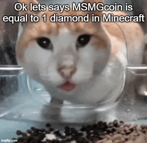 In a world that I will be creating later | Ok lets says MSMGcoin is equal to 1 diamond in Minecraft | image tagged in mr shock stare | made w/ Imgflip meme maker