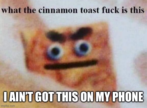 I AIN’T GOT THIS ON MY PHONE | image tagged in what the cinnamon toast f is this | made w/ Imgflip meme maker