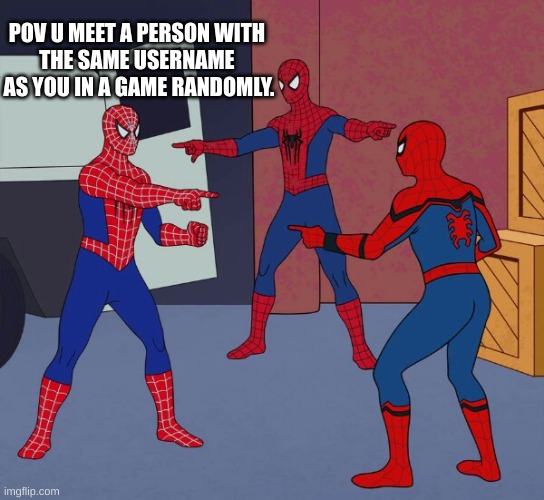 always fun when it happens. | POV U MEET A PERSON WITH 
THE SAME USERNAME 
AS YOU IN A GAME RANDOMLY. | image tagged in spider man triple | made w/ Imgflip meme maker