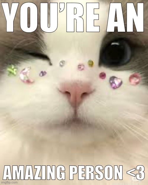 Ofc you are <3 | YOU’RE AN; AMAZING PERSON <3 | image tagged in memes,funny,cats,lgbtq | made w/ Imgflip meme maker