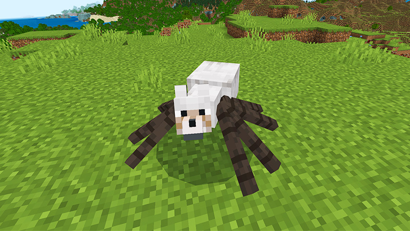 Spider Dog Blank Meme Template