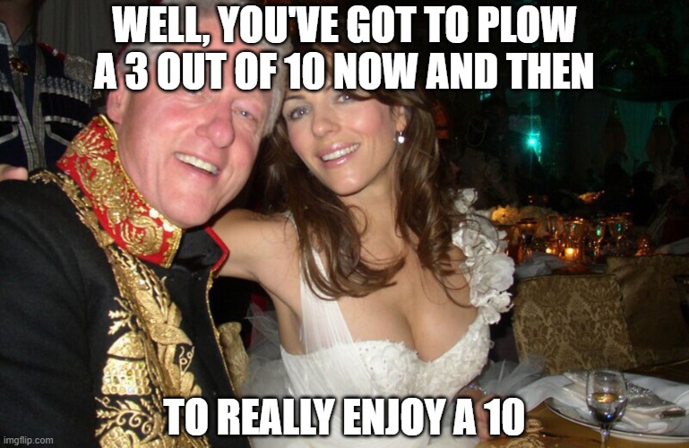 Bill Clinton and Elizabeth Hurley | WELL, YOU'VE GOT TO PLOW A 3 OUT OF 10 NOW AND THEN TO REALLY ENJOY A 10 | image tagged in bill clinton and elizabeth hurley | made w/ Imgflip meme maker