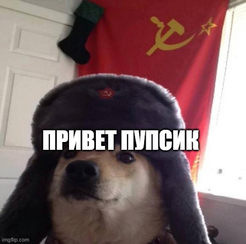 ПРИВЕТ ПУПСИК | image tagged in russian doge | made w/ Imgflip meme maker