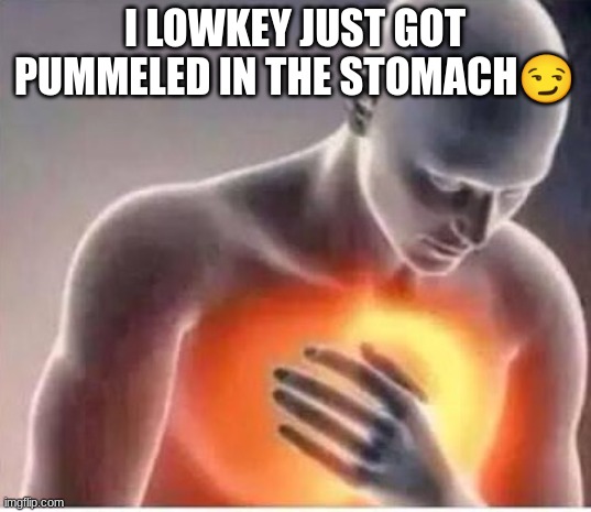 OWWWWWWWWWWWWWWWWWWW | I LOWKEY JUST GOT PUMMELED IN THE STOMACH😏 | image tagged in chest pain | made w/ Imgflip meme maker