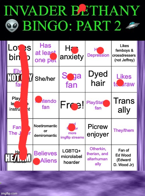 InvaderBethany Bingo: Part 2 | NOT GAY; HE/HIM | image tagged in invaderbethany bingo part 2 | made w/ Imgflip meme maker