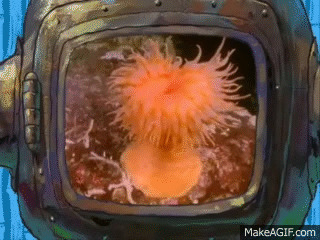 SpongeBob Sea Anemone Blank Meme Template