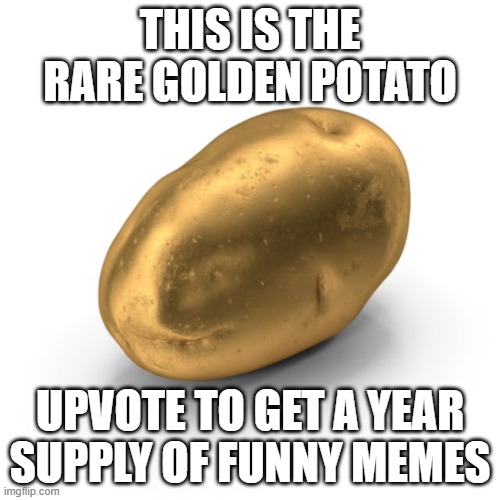 potato | THIS IS THE RARE GOLDEN POTATO; UPVOTE TO GET A YEAR SUPPLY OF FUNNY MEMES | image tagged in potato | made w/ Imgflip meme maker